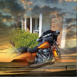 Meet your Posher, Benji